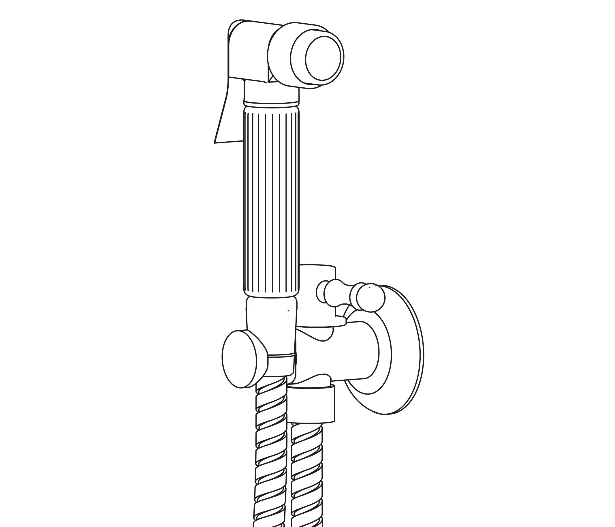 C34-4240 Hygienic shower