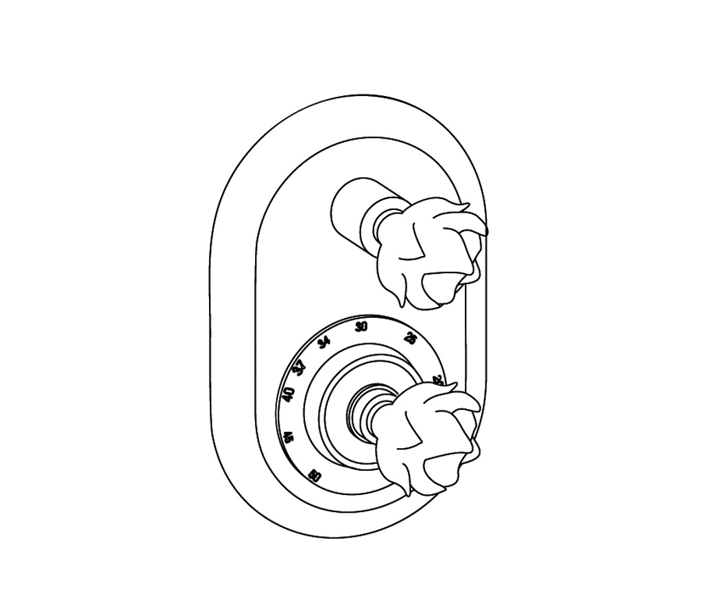 C65-2R21 Habillage ovale pour T21