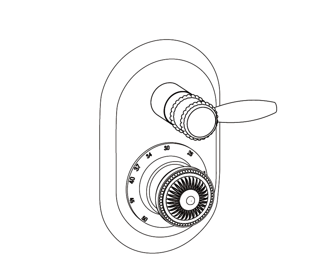 C66-2R21 Habillage ovale pour T21