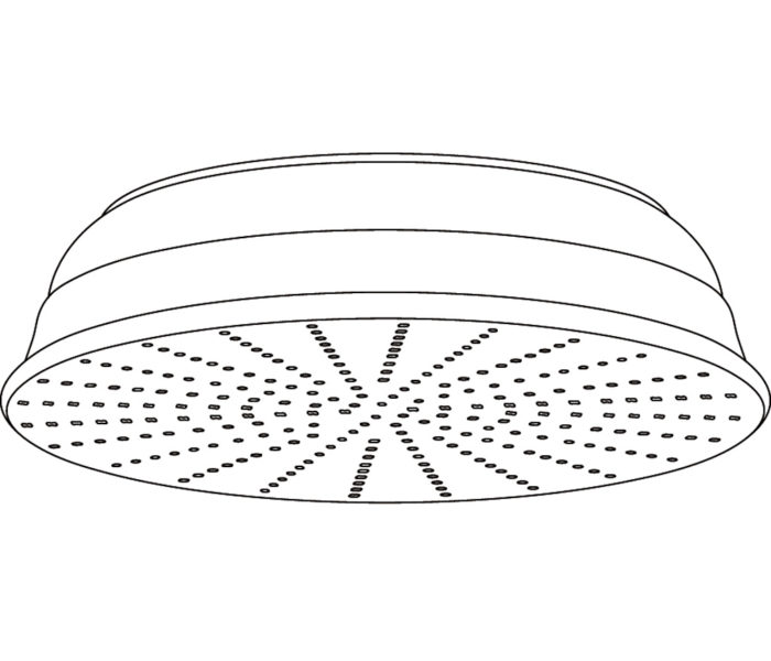 2409 “Traditional” headshower